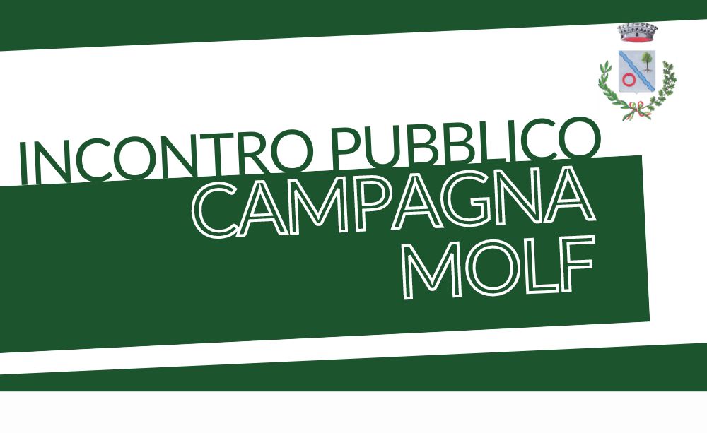 Incontro pubblico: esiti Campagna MOLF